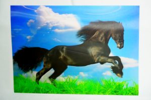 3D Falikép - Fekete Ló